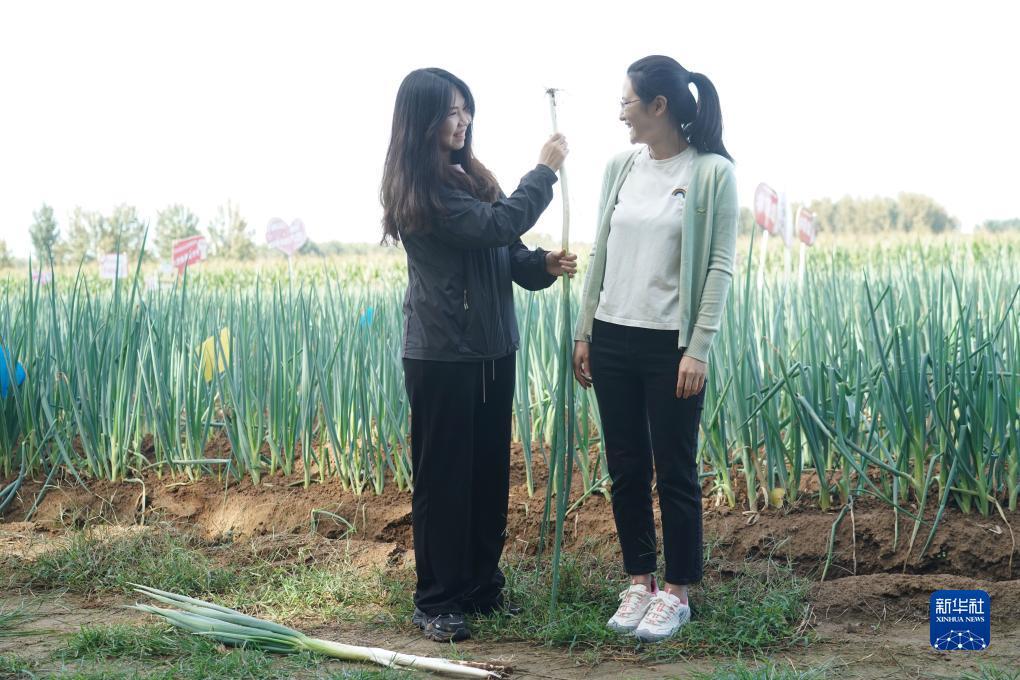 太阳城游戏中心